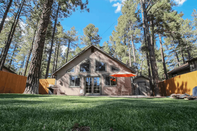 10 Unique PetFriendly Airbnb & VRBO Cabins in Arizona Doggy Check In
