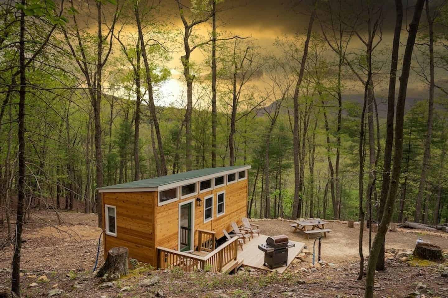 10 Rustic, Pet-Friendly Airbnb Cabins in West Virginia - Doggy Check In