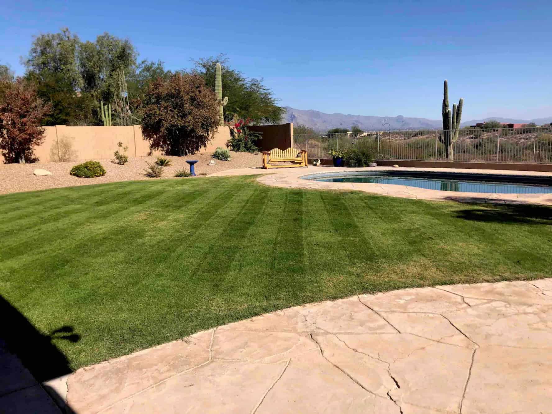 8 Charming Pet Friendly Vacation Rentals in Arizona