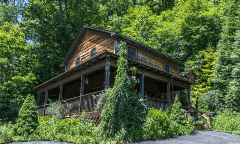 13 Pet-Friendly Cabins in Boone, North Carolina - Doggy Check In