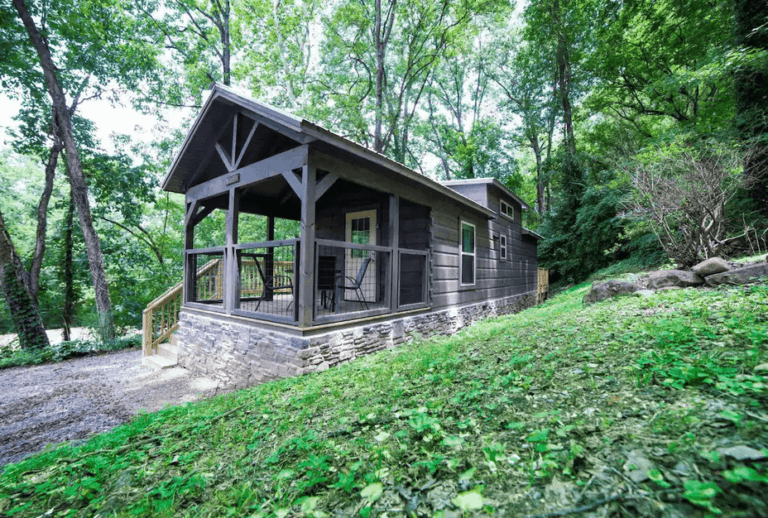 15 PetFriendly Cabins in Chattanooga, TN Doggy Check In