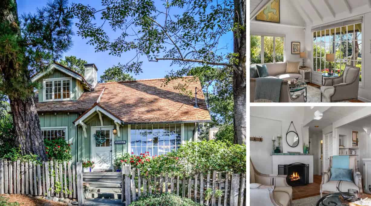 11 Big Sur PetFriendly Airbnbs & Cabins Doggy Check In