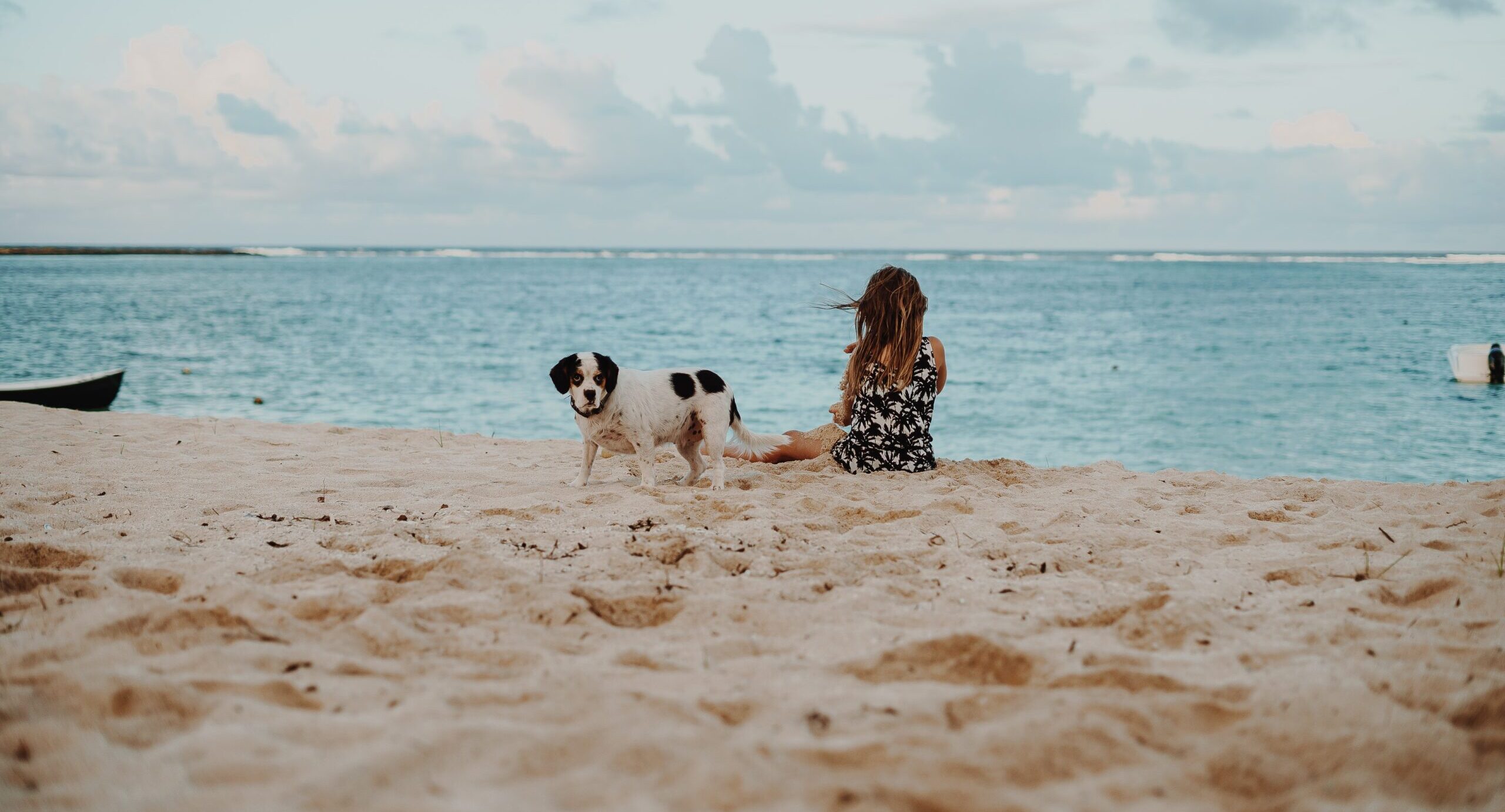 8 Pet-Friendly Airbnb Rentals in Fort Walton Beach - Doggy Check In