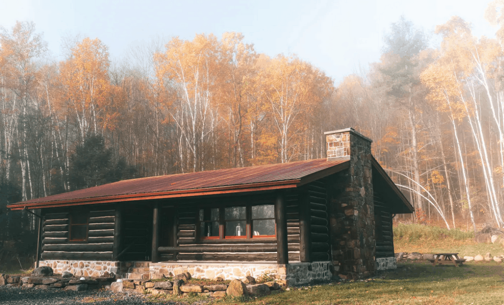 14 PetFriendly Cabin Rentals in Lake New York Doggy Check In
