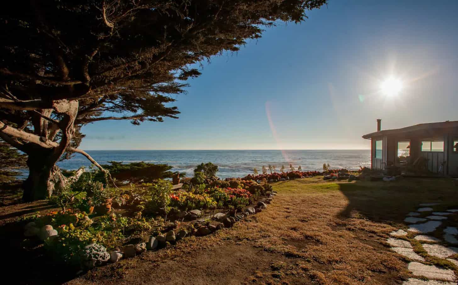 11 Big Sur PetFriendly Airbnbs & Cabins Doggy Check In