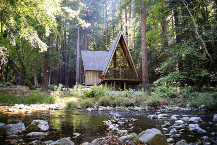 Pet Friendly Big Sur Cabins and Airbnbs
