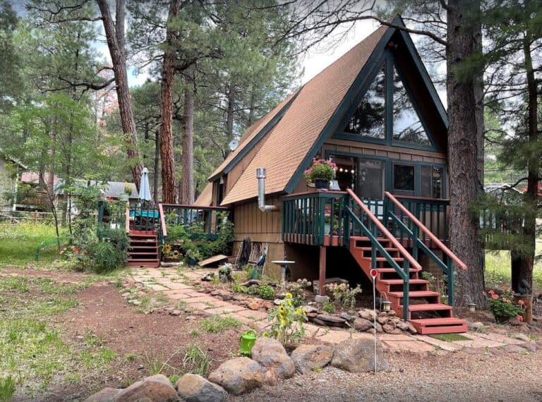 9 Beautiful PetFriendly Cabins in Flagstaff, Arizona Doggy Check In