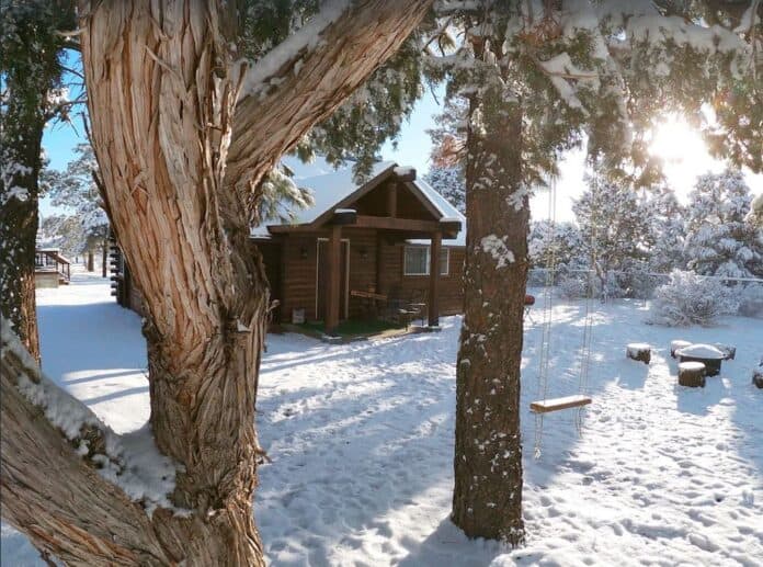 9 Beautiful PetFriendly Cabins in Flagstaff, Arizona Doggy Check In