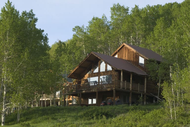 12 Cozy Pet-Friendly Cabins in Pigeon Forge, TN - Doggy Check In