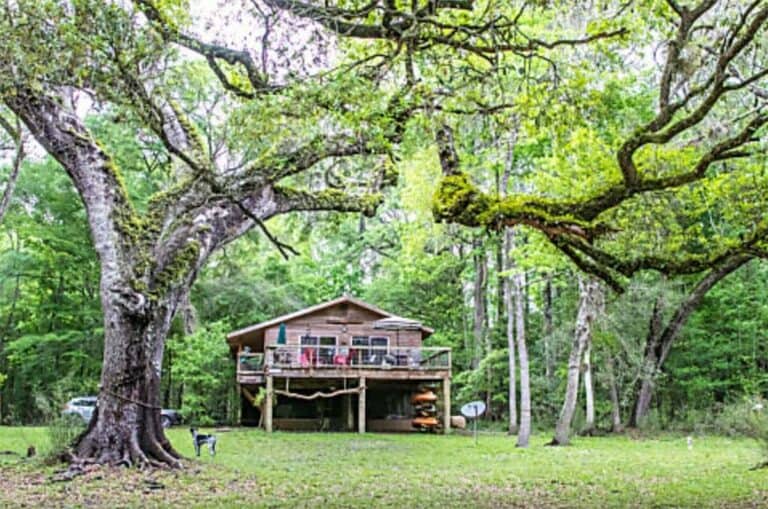 9 Cool Pet-Friendly Cabin Rentals in Florida - Doggy Check In