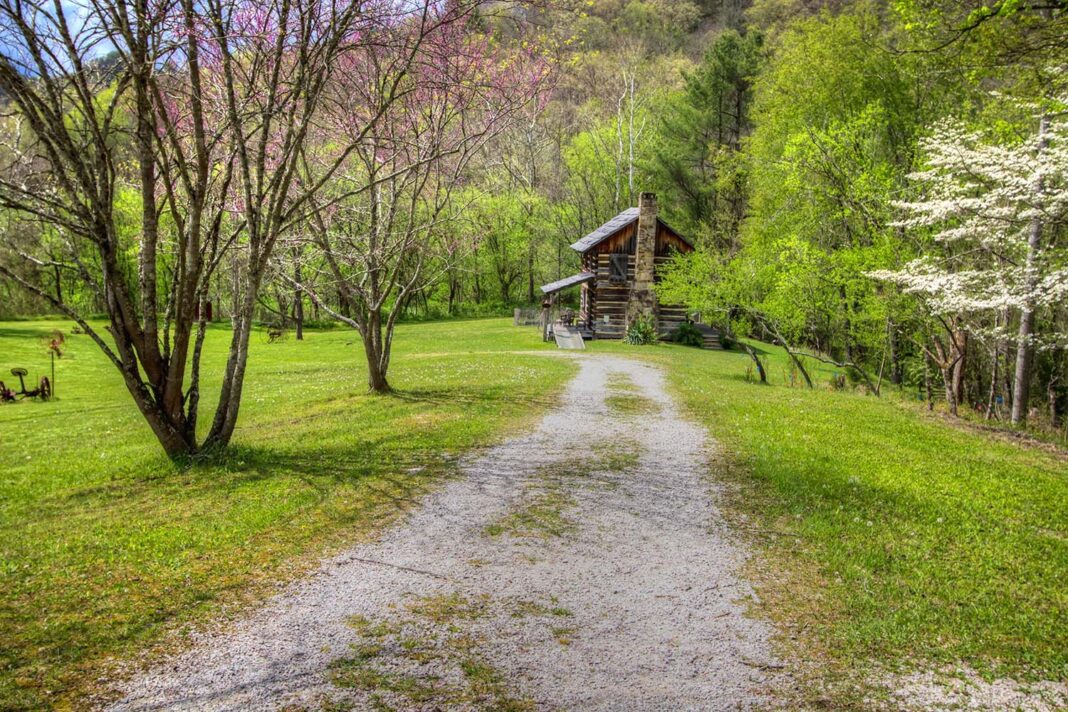 14 Cozy PetFriendly Cabins in Kentucky Doggy Check In