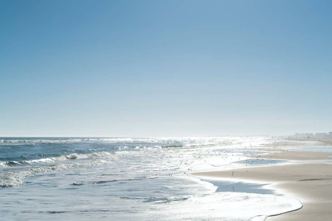 The Best PetFriendly Cabins in Cherokee, North Carolina Doggy Check In